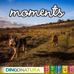 Outlet Moments hundesnack Iberisk skinke 60 g - naturlige hundegodbidder Hundeguf Og Tyggeben Til Hunde