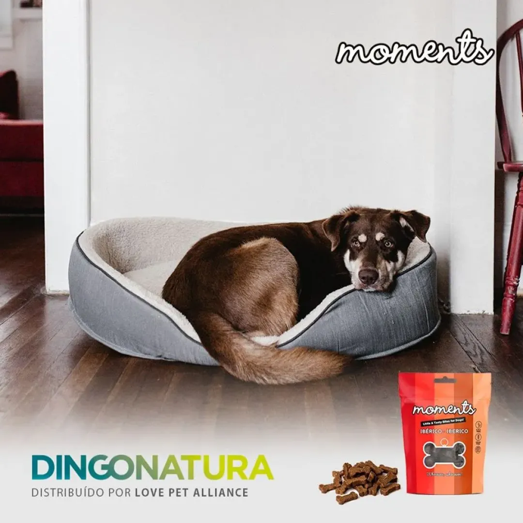 Outlet Moments hundesnack Iberisk skinke 60 g - naturlige hundegodbidder Hundeguf Og Tyggeben Til Hunde
