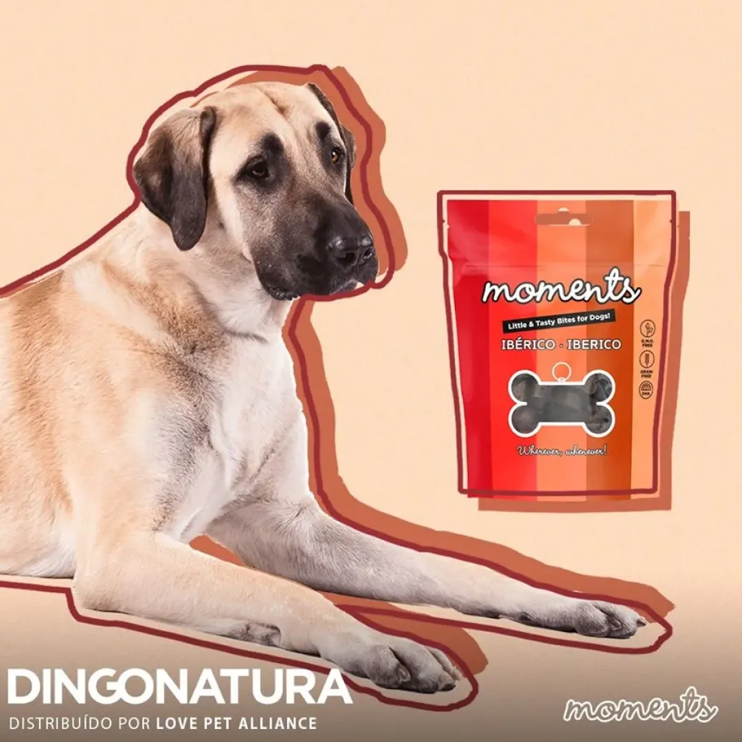 Outlet Moments hundesnack Iberisk skinke 60 g - naturlige hundegodbidder Hundeguf Og Tyggeben Til Hunde