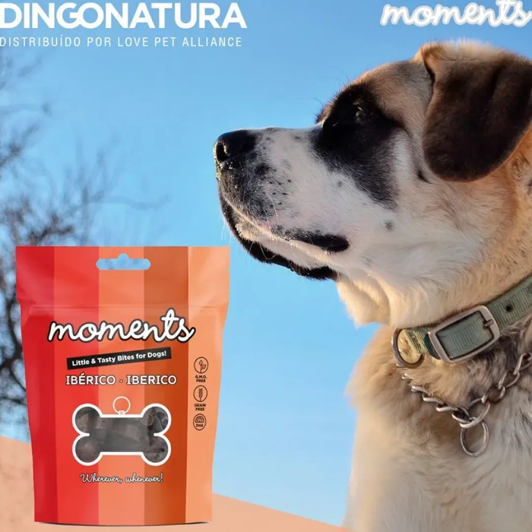 Outlet Moments hundesnack Iberisk skinke 60 g - naturlige hundegodbidder Hundeguf Og Tyggeben Til Hunde