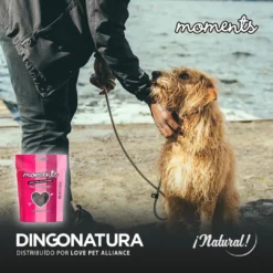 Hot Moments hundesnack Kalkun 60 g - naturlige hundegodbidder Hundeguf Og Tyggeben Til Hunde