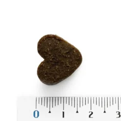Hot Moments hundesnack Kalkun 60 g - naturlige hundegodbidder Hundeguf Og Tyggeben Til Hunde