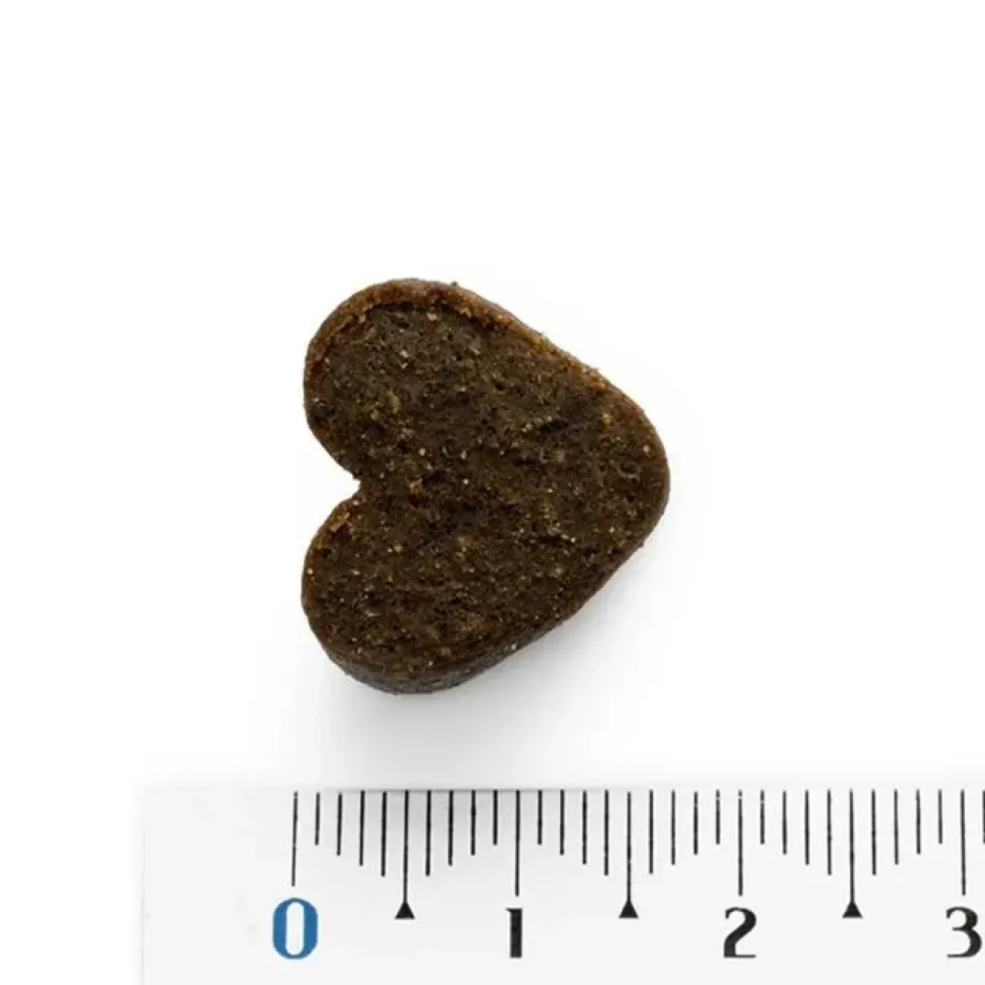 Hot Moments hundesnack Kalkun 60 g - naturlige hundegodbidder Hundeguf Og Tyggeben Til Hunde