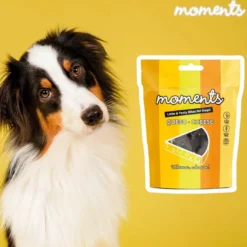 Online Moments hundesnack Kylling og Ost 60 g - naturlige hundegodbidder Hundeguf Og Tyggeben Til Hunde