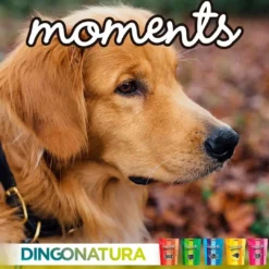 Online Moments hundesnack Kylling og Ost 60 g - naturlige hundegodbidder Hundeguf Og Tyggeben Til Hunde