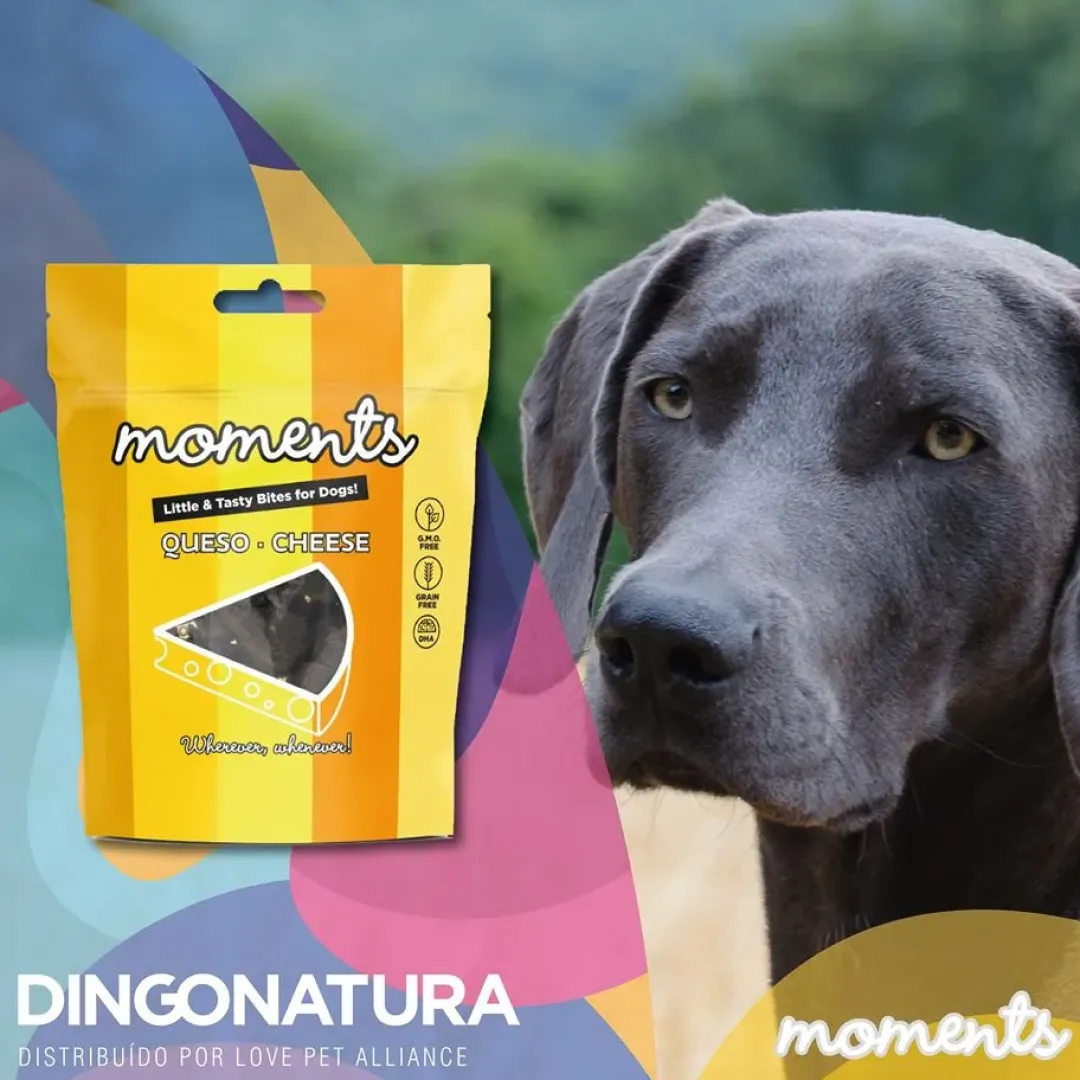 Online Moments hundesnack Kylling og Ost 60 g - naturlige hundegodbidder Hundeguf Og Tyggeben Til Hunde
