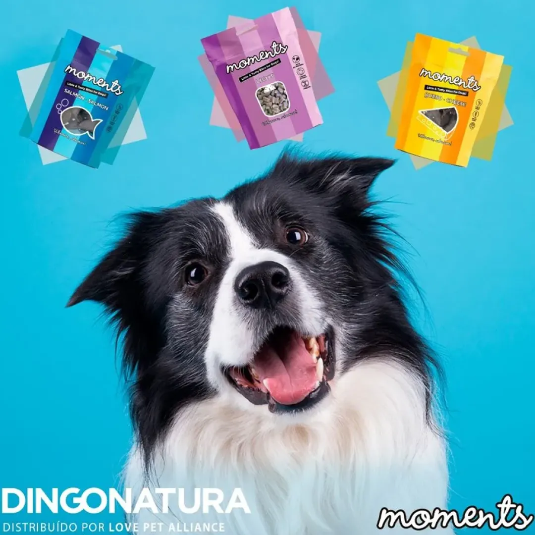 Online Moments hundesnack Kylling og Ost 60 g - naturlige hundegodbidder Hundeguf Og Tyggeben Til Hunde