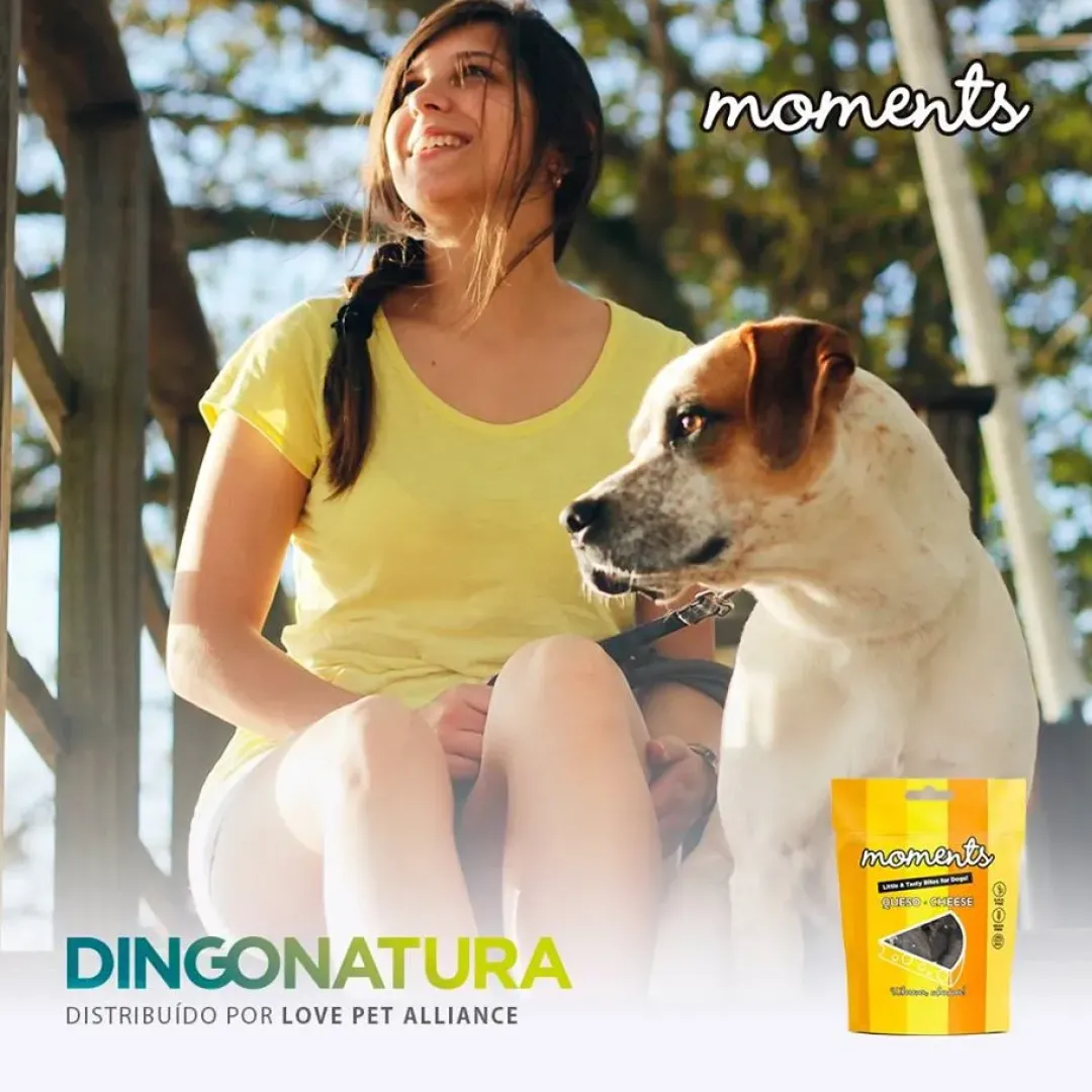 Online Moments hundesnack Kylling og Ost 60 g - naturlige hundegodbidder Hundeguf Og Tyggeben Til Hunde