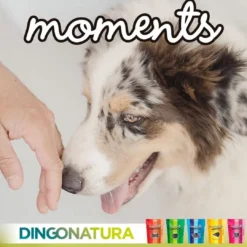 Online Moments hundesnack Kylling og Ost 60 g - naturlige hundegodbidder Hundeguf Og Tyggeben Til Hunde