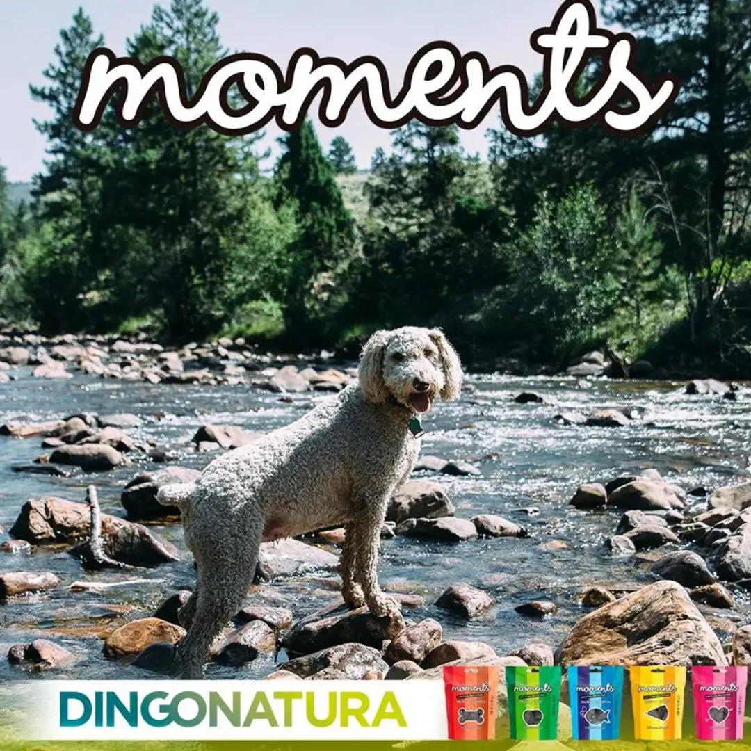 Online Moments hundesnack Kylling og Ost 60 g - naturlige hundegodbidder Hundeguf Og Tyggeben Til Hunde