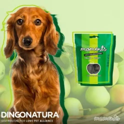 Clearance Moments hundesnack Kylling og Frugt 60 g - fuldfoder hundegodbidder Hundeguf Og Tyggeben Til Hunde