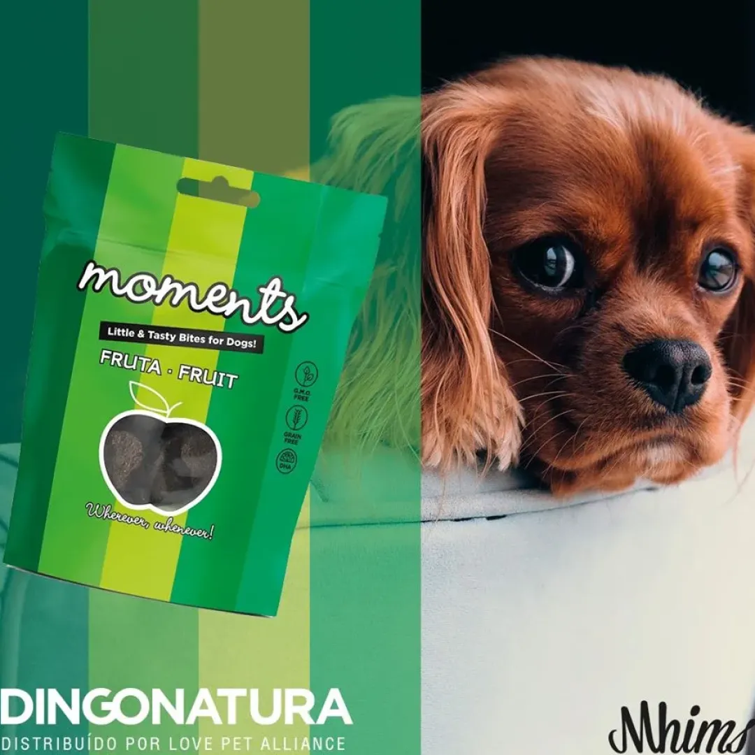 Clearance Moments hundesnack Kylling og Frugt 60 g - fuldfoder hundegodbidder Hundeguf Og Tyggeben Til Hunde
