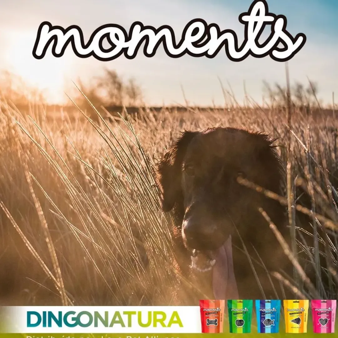 Clearance Moments hundesnack Kylling og Frugt 60 g - fuldfoder hundegodbidder Hundeguf Og Tyggeben Til Hunde