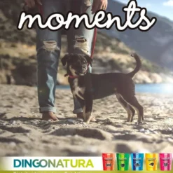Clearance Moments hundesnack Kylling og Frugt 60 g - fuldfoder hundegodbidder Hundeguf Og Tyggeben Til Hunde