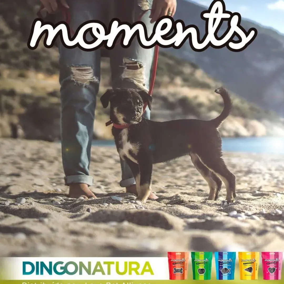 Clearance Moments hundesnack Kylling og Frugt 60 g - fuldfoder hundegodbidder Hundeguf Og Tyggeben Til Hunde