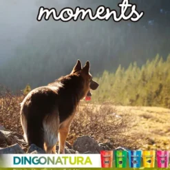 Best Moments hundesnack Laks 60 g - fuldfoder hundesnacks Hundeguf Og Tyggeben Til Hunde