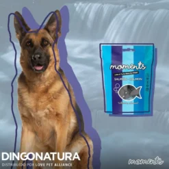 Best Moments hundesnack Laks 60 g - fuldfoder hundesnacks Hundeguf Og Tyggeben Til Hunde