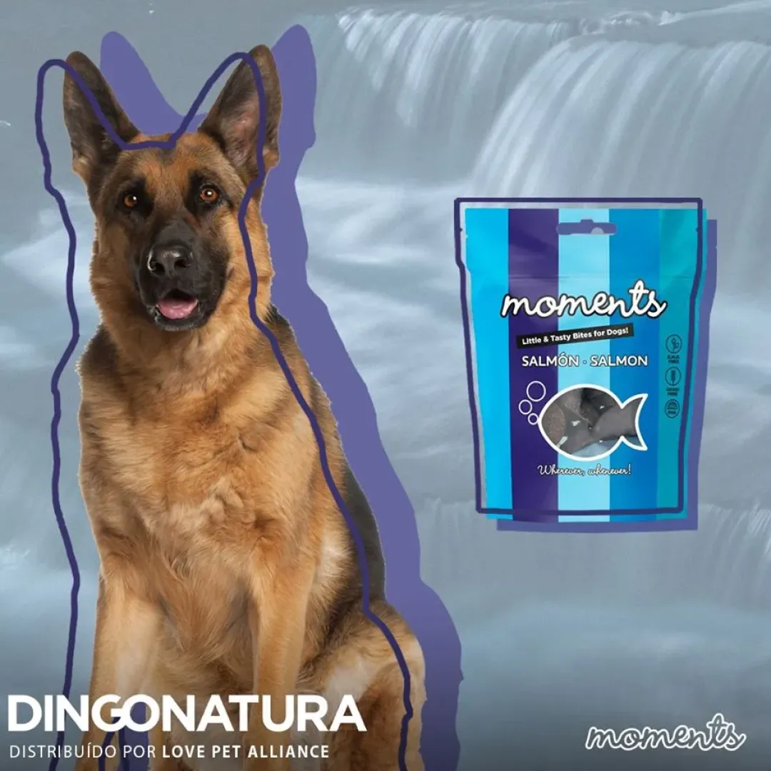 Best Moments hundesnack Laks 60 g - fuldfoder hundesnacks Hundeguf Og Tyggeben Til Hunde