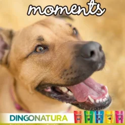 Best Moments hundesnack Laks 60 g - fuldfoder hundesnacks Hundeguf Og Tyggeben Til Hunde