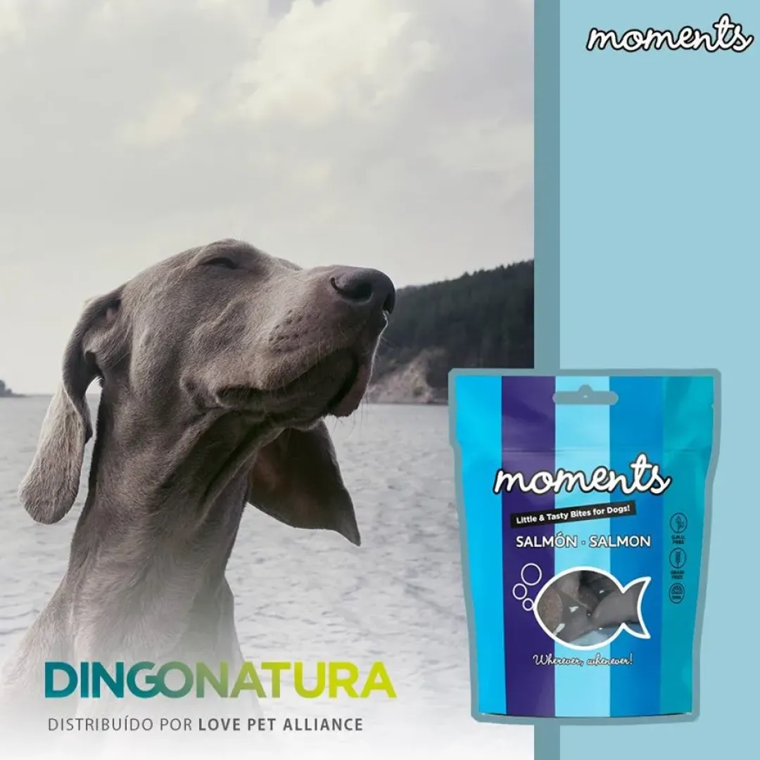 Best Moments hundesnack Laks 60 g - fuldfoder hundesnacks Hundeguf Og Tyggeben Til Hunde