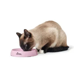 Clearance Moulins melamin katteskål Pink Mad- Og Vandskåle Til Katte