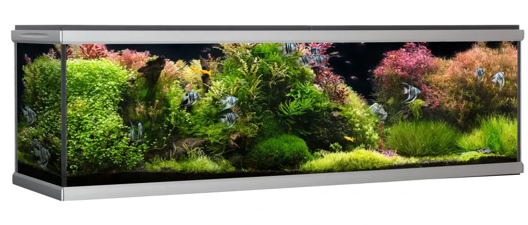 MOVE akvarium 720 liter Sort Akvarier