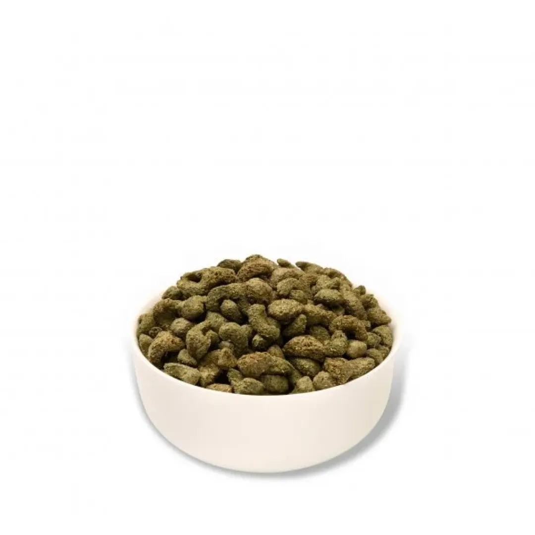 Outlet Mr Johnson Marsvinefoder Advance Guinea Pig 1,5 kg Foder & Snack Til Gnavere & Kanin