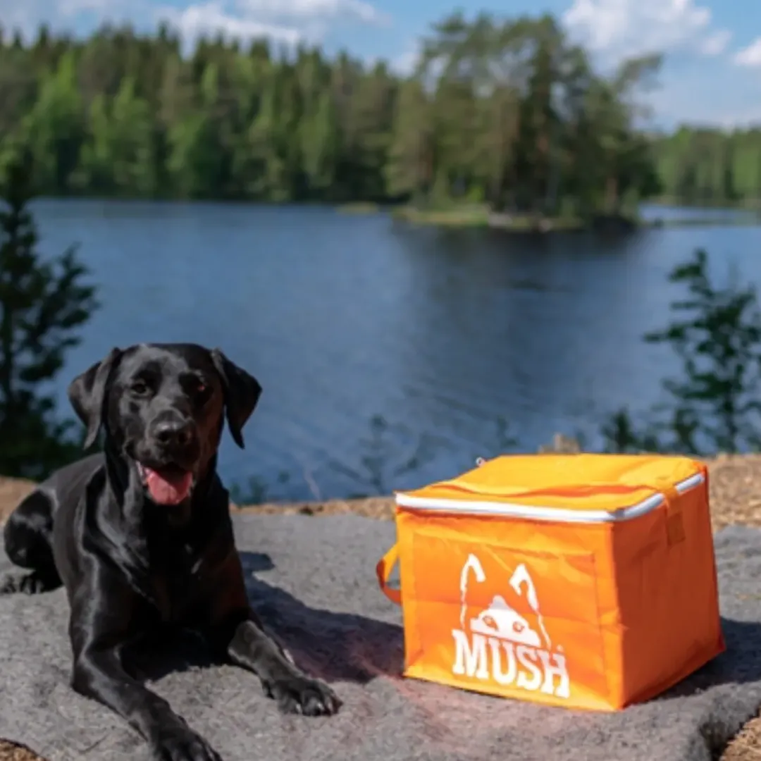 New termotaske til frossent Barf hundefoder med skulderrem Hundefoder