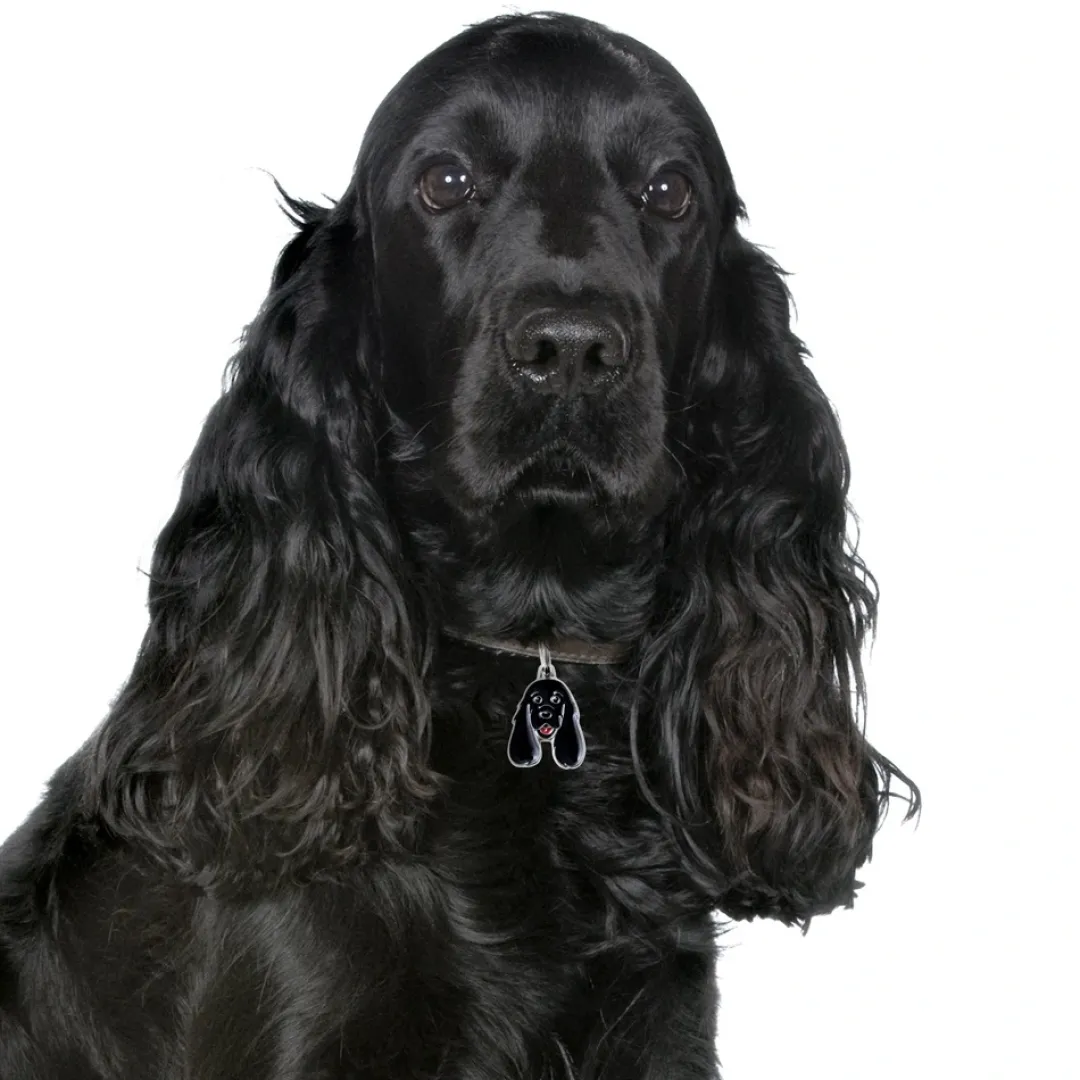 Clearance Friends Cockerspaniel Sort Hundetegn Til Hvalpe - Sikkerhed Og Tryghed Hvis Hvalpen Løber Væk|Hundetegn Og Smykker Med Stil Og Sikkerhed