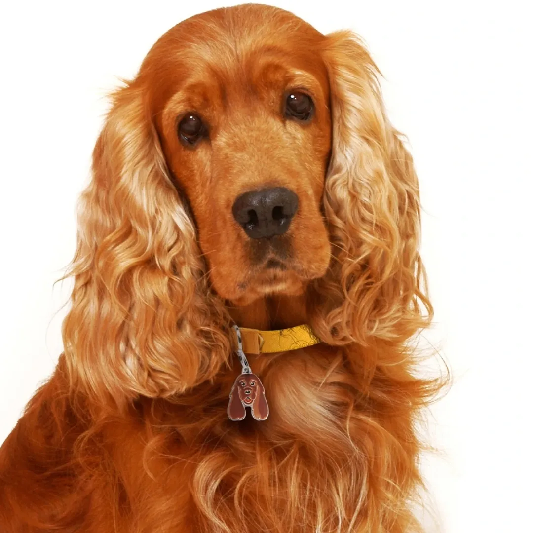 Online Friends Cockerspaniel Rød Hundetegn Til Hvalpe - Sikkerhed Og Tryghed Hvis Hvalpen Løber Væk|Hundetegn Og Smykker Med Stil Og Sikkerhed