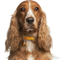New Friends Cockerspaniel Brun hvid Hundetegn Til Hvalpe - Sikkerhed Og Tryghed Hvis Hvalpen Løber Væk|Hundetegn Og Smykker Med Stil Og Sikkerhed