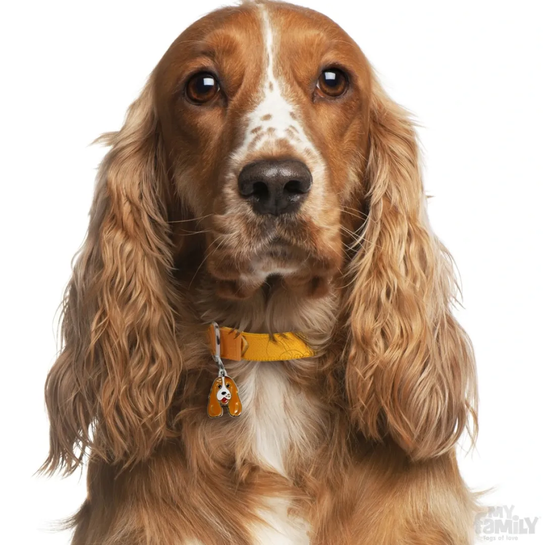New Friends Cockerspaniel Brun hvid Hundetegn Til Hvalpe - Sikkerhed Og Tryghed Hvis Hvalpen Løber Væk|Hundetegn Og Smykker Med Stil Og Sikkerhed
