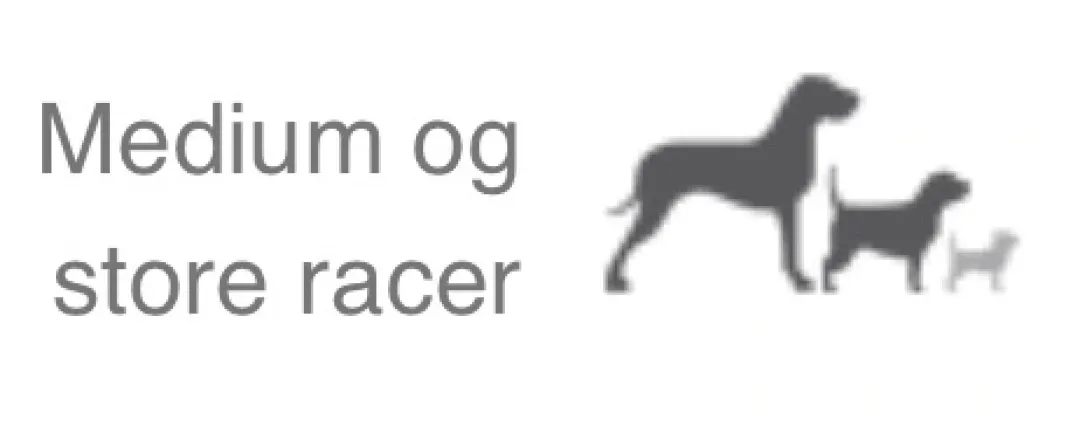 Natura Diet Daily hundefoder 3 kg - Naturligt tørfoder med kylling og ris Hundefoder|Tørfoder Til Hunde I Alle Størrelser Og Aldre