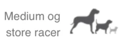 Natura Diet Daily Hundefoder 12 kg - Naturligt og afbalanceret tørfoder til hunde Hundefoder|Tørfoder Til Hunde I Alle Størrelser Og Aldre