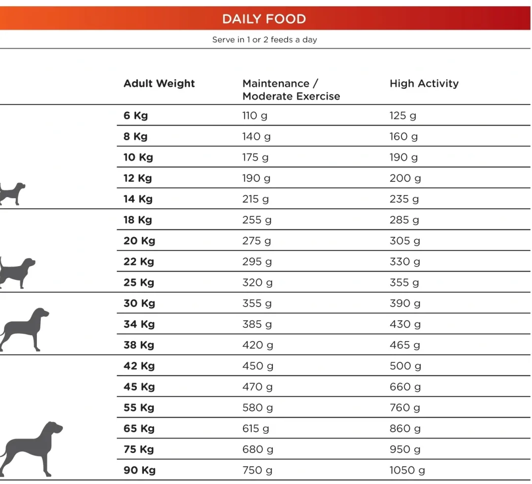 Natura Diet Daily Hundefoder 12 kg - Naturligt og afbalanceret tørfoder til hunde Hundefoder|Tørfoder Til Hunde I Alle Størrelser Og Aldre