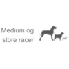 Outlet Natura Diet Fisk og Ris hundefoder 3 kg - Naturlig ernæring til hunde Hundefoder|Tørfoder Til Hunde I Alle Størrelser Og Aldre