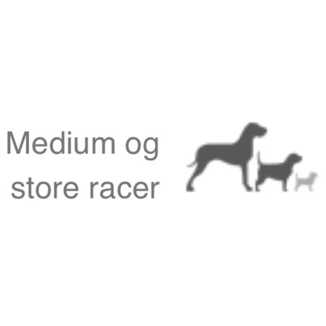 Discount Natura Diet Fisk og ris hundefoder 12 kg - Skånsomt og naturligt Hundefoder|Tørfoder Til Hunde I Alle Størrelser Og Aldre