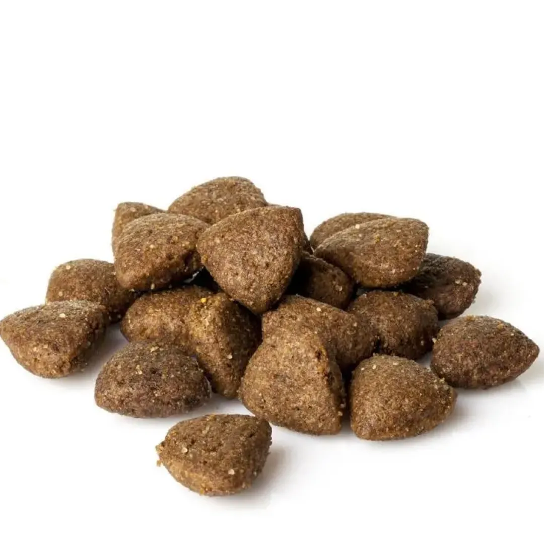 Online Natura Diet Fisk og Ris Mini Hundefoder 500 g - Sundt og naturligt til små hunde Hundefoder|Tørfoder Til Hunde I Alle Størrelser Og Aldre