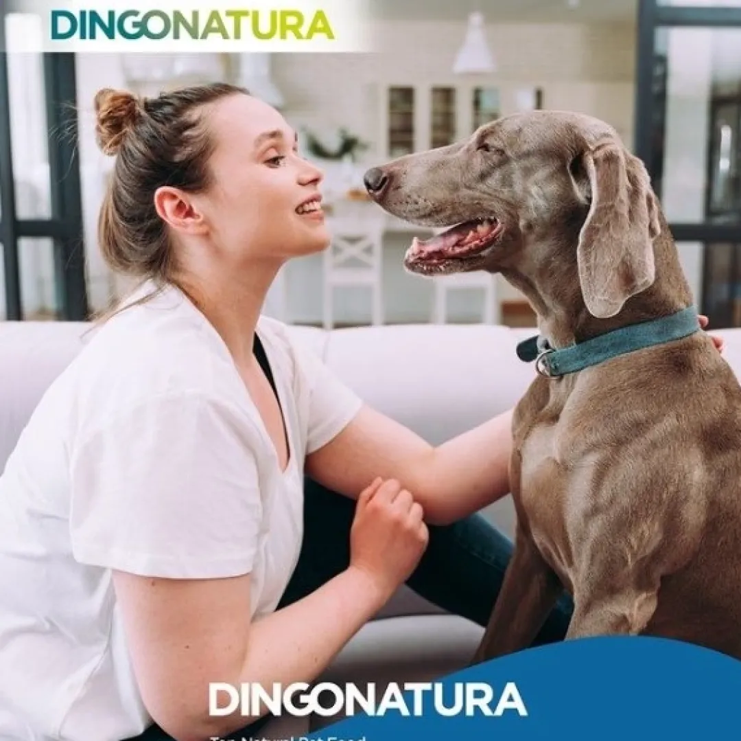 Natura Diet Hundefoder Senior +7 3 kg - naturligt tørfoder til ældre hunde Hundefoder|Tørfoder Til Hunde I Alle Størrelser Og Aldre