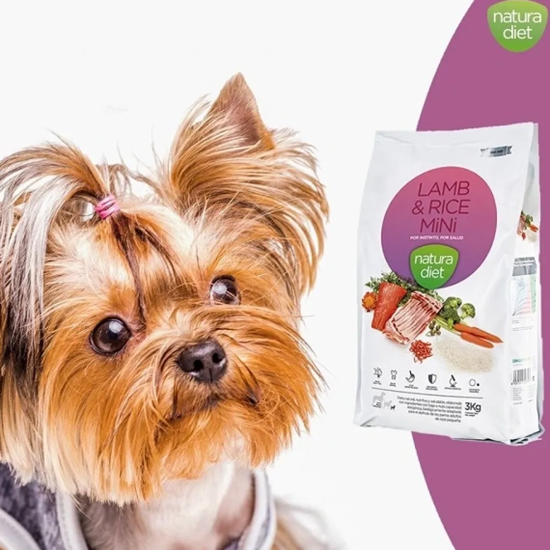 Sale Natura Diet Lam og Ris Mini Hundefoder 500 g - Sundt og naturligt foder til små hunde Hundefoder|Tørfoder Til Hunde I Alle Størrelser Og Aldre