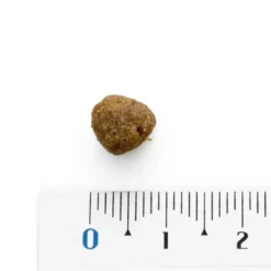 Best Natura Diet Puppy Starter Hvalpefoder 500 g Hundefoder|Tørfoder Til Hunde I Alle Størrelser Og Aldre