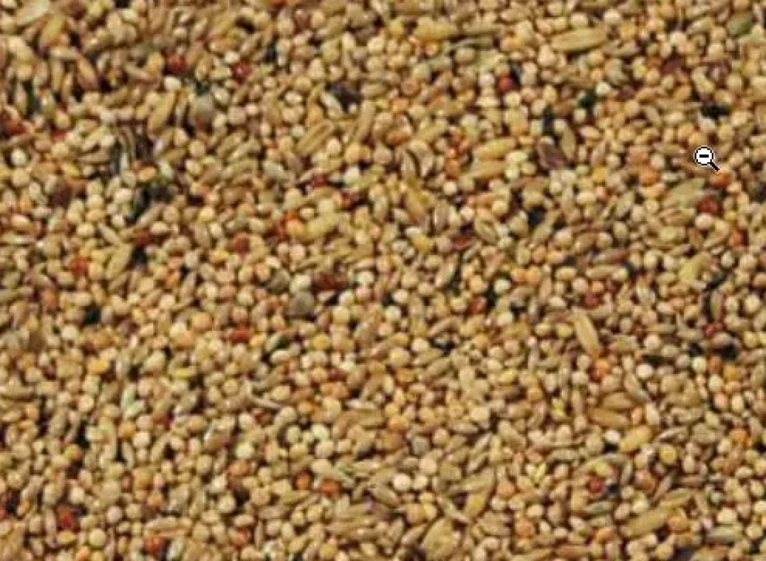 Hot Natural Original Undulat Avl Spec. 20 kg Fuglefoder