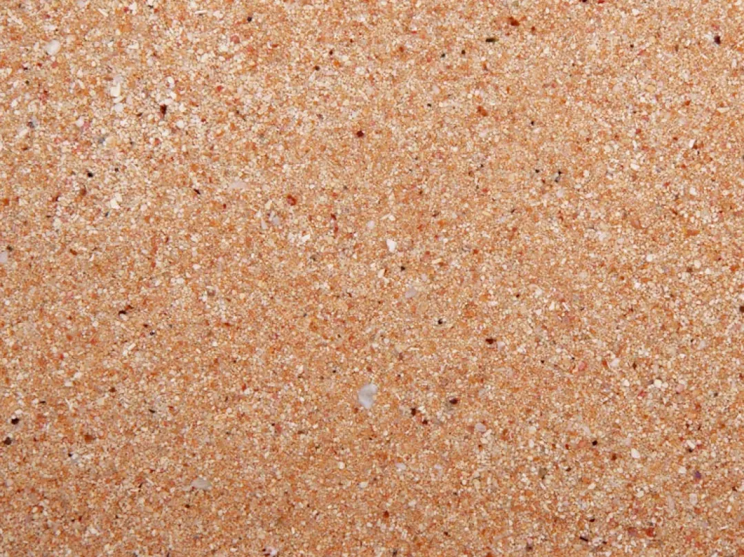 Discount Australian Gold Live Sand 4,54 kg Dekoration Til Saltvand