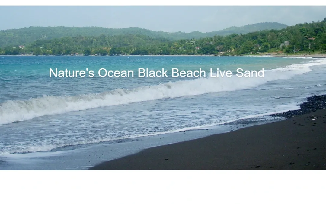 Sale Live Hawaii Black Beach Sand 9,07 kg 0,5-1,7 mm Dekoration Til Saltvand