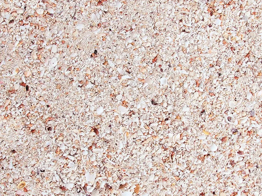 Clearance Natures Ocean Reef substrate Live Sand 7,26 kg Dekoration Til Saltvand