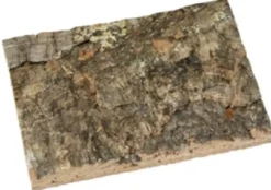 Discount Natur Korkbaggrund 60 x 30 cm Dekoration Til Terrarier