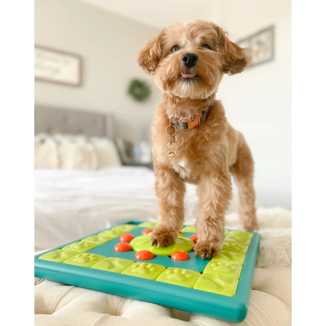 Online Multipuzzle Niveau 4 - udfordrende aktivitetslegetøj til hunde Hundelegetøj Til Alle Hunde Leg Og Aktivering Året Rundt|Legetøj Til Hvalpe - Sjov Leg, Aktivering Og Tryghed Fra Første Dag