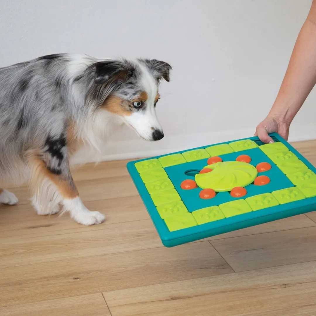 Online Multipuzzle Niveau 4 - udfordrende aktivitetslegetøj til hunde Hundelegetøj Til Alle Hunde Leg Og Aktivering Året Rundt|Legetøj Til Hvalpe - Sjov Leg, Aktivering Og Tryghed Fra Første Dag