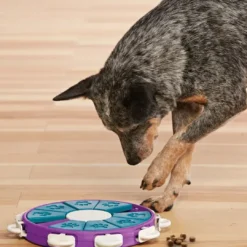 Hot Twister Niveau 3 Turkis - udfordrende hundespil Hundelegetøj Til Alle Hunde Leg Og Aktivering Året Rundt|Legetøj Til Hvalpe - Sjov Leg, Aktivering Og Tryghed Fra Første Dag