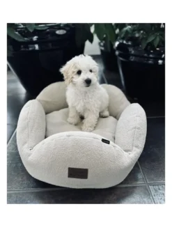 Hot Flora hundeseng Medium 75 x 75 cm Beige Hundesenge Og Kurve Til Hunde - Bløde Og Komfortable